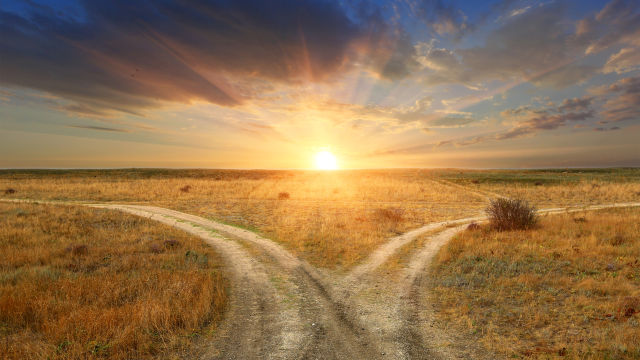 Should Is Quietly Running Your Life
