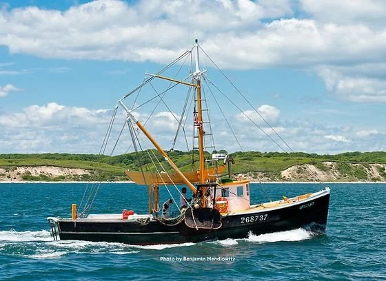 Things are lining up for G&amp;B to start the rebuild of &ldquo;Little Lady&rdquo; this fall. As you recall, &ldquo;Little Lady&rdquo; is the oldest (built during 1929, in Noank, CT) and last single-handled, wooden side-dragger still in operation in 