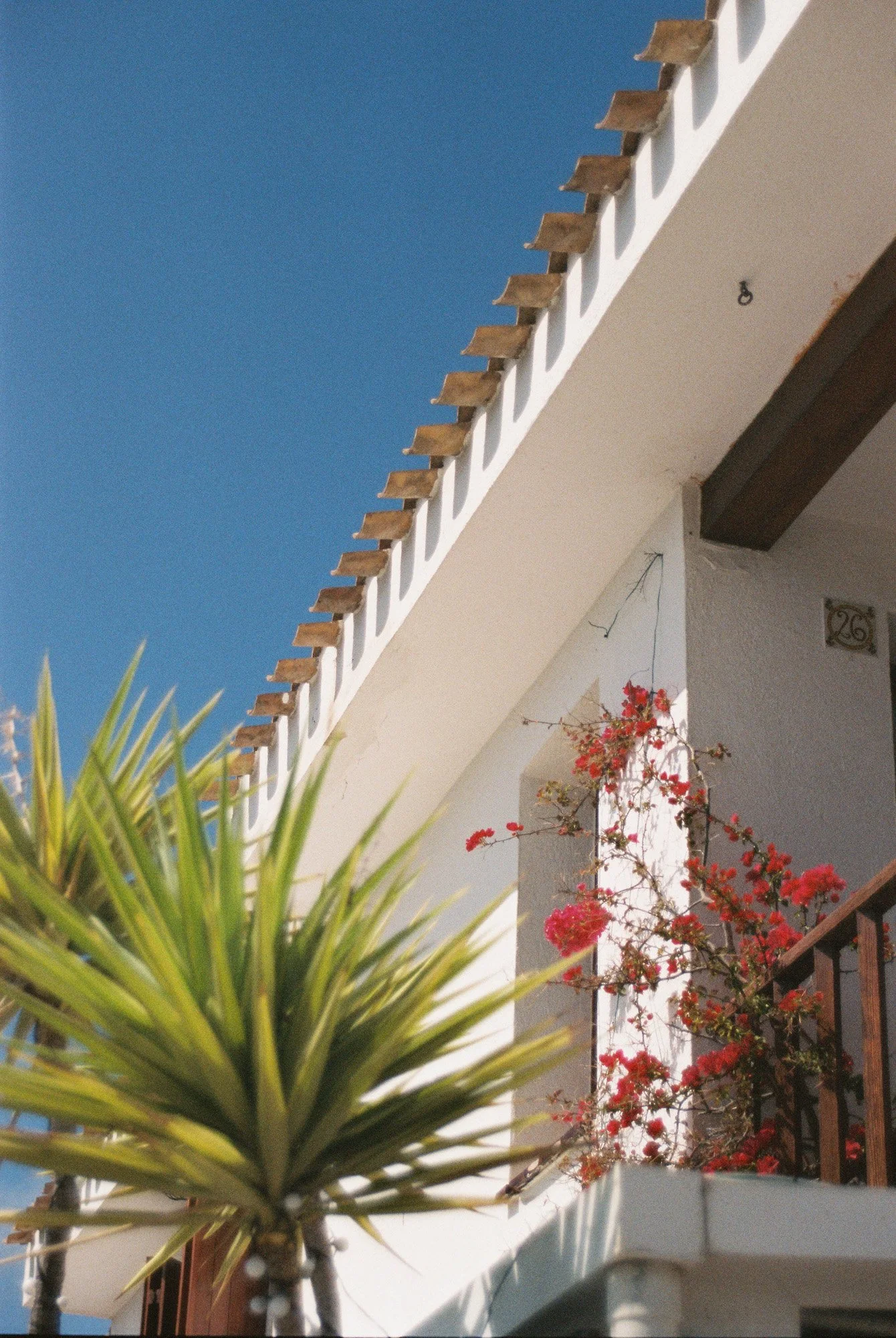 2009275189-R1-007.jpg