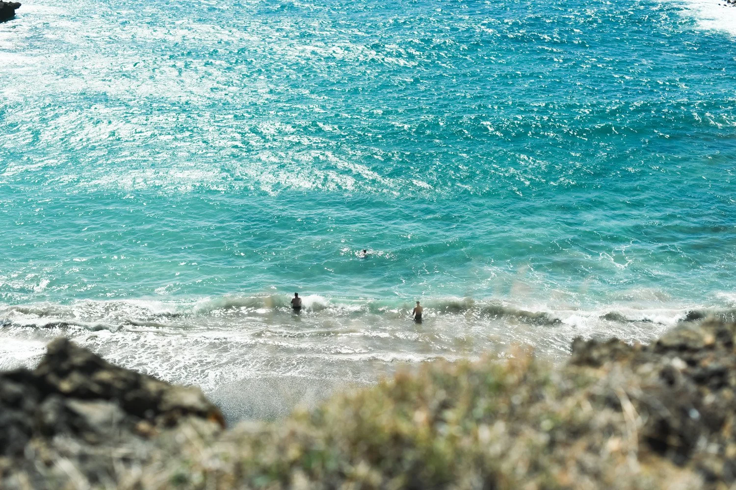 DSC_1429.jpg