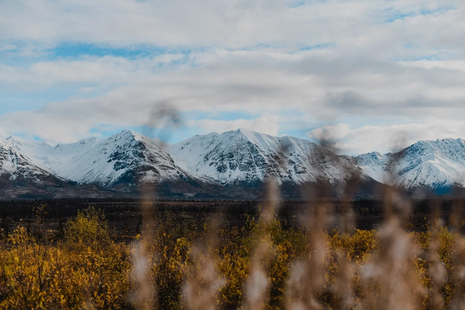 DSC_8345.jpg