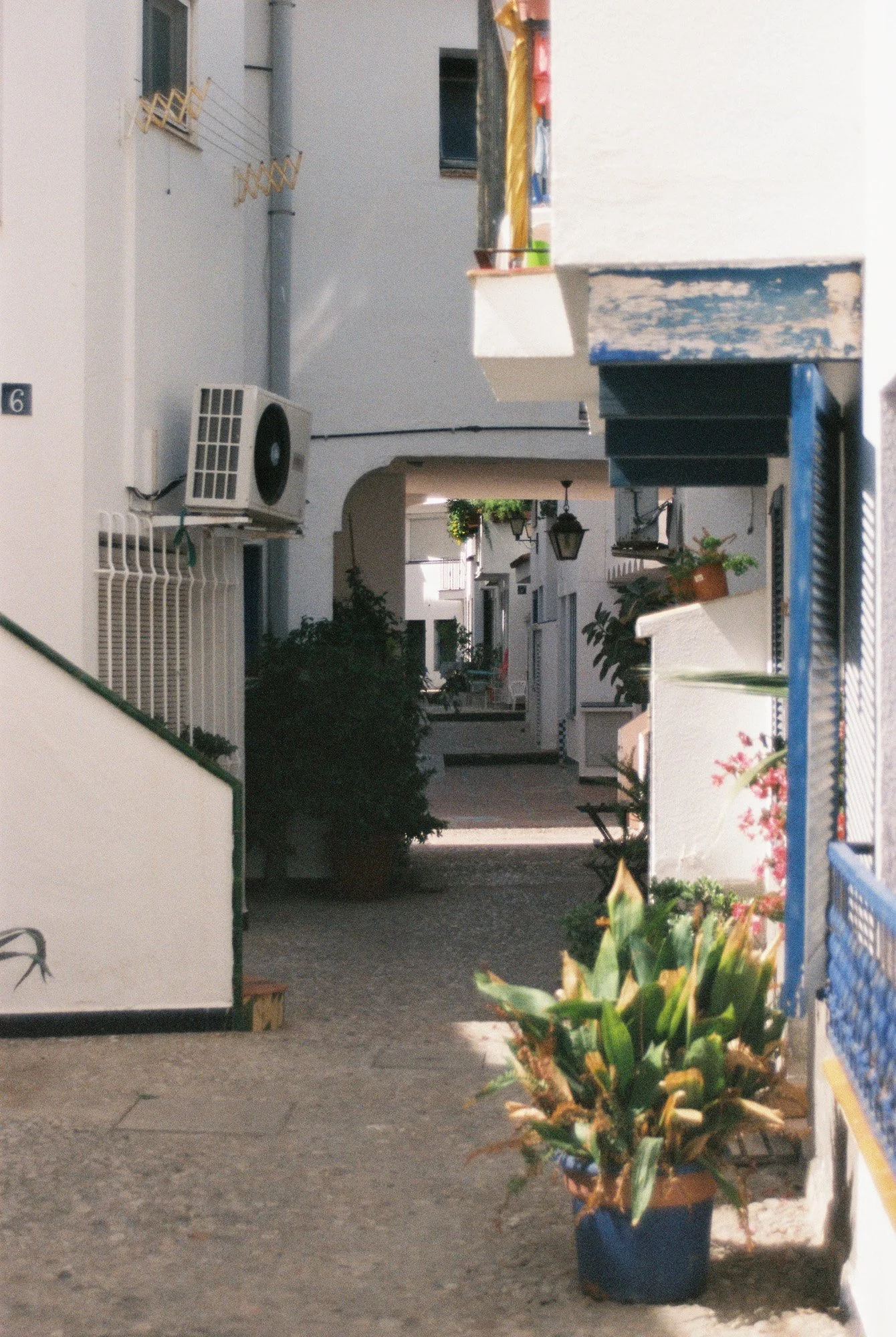 2009275189-R1-006.jpg