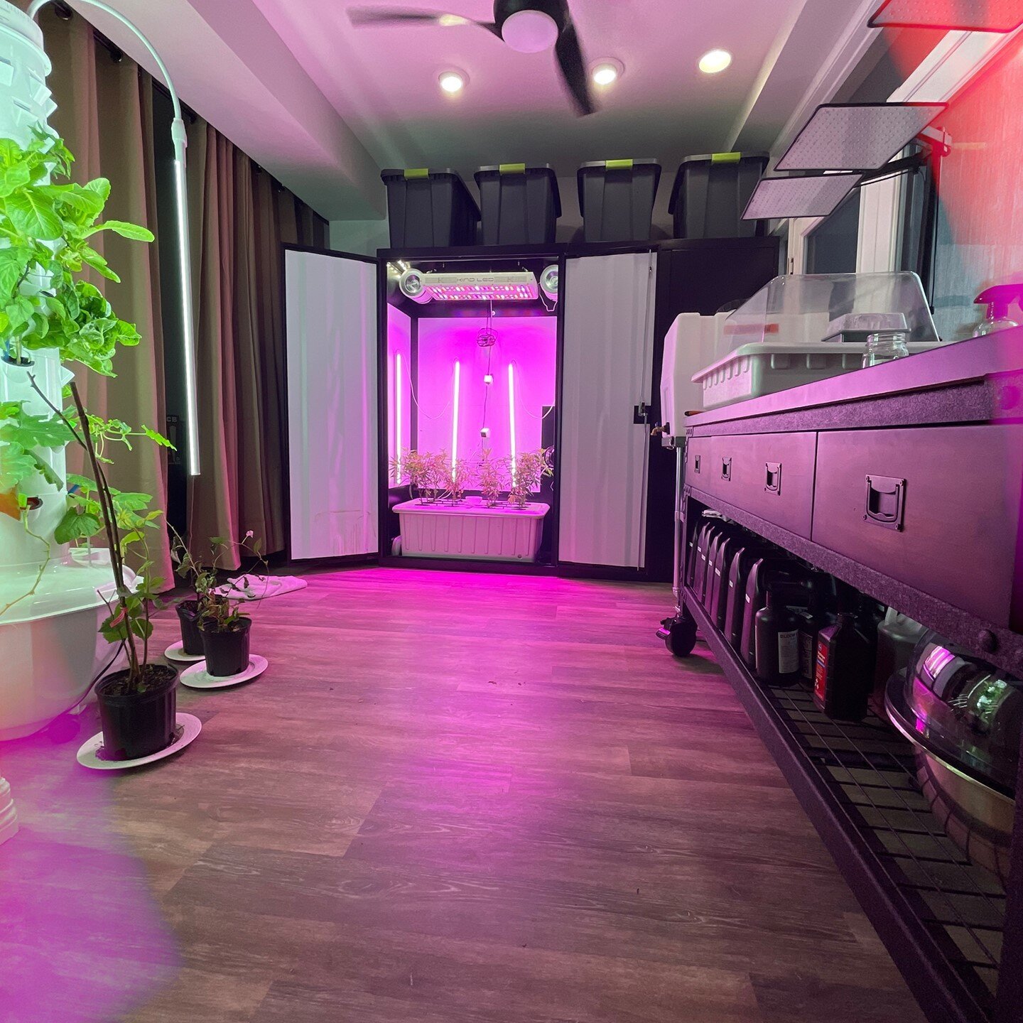 This Penthouse setup is giving us some SERIOUS #vibes 🤩 
Click the link in our bio to check out this unit &amp; save this post for your grow setup inspiration! 

#mondaymotivation #inspo #aesthetic #itsavibe⚡ #growyourown #growathome #cannabis #cann