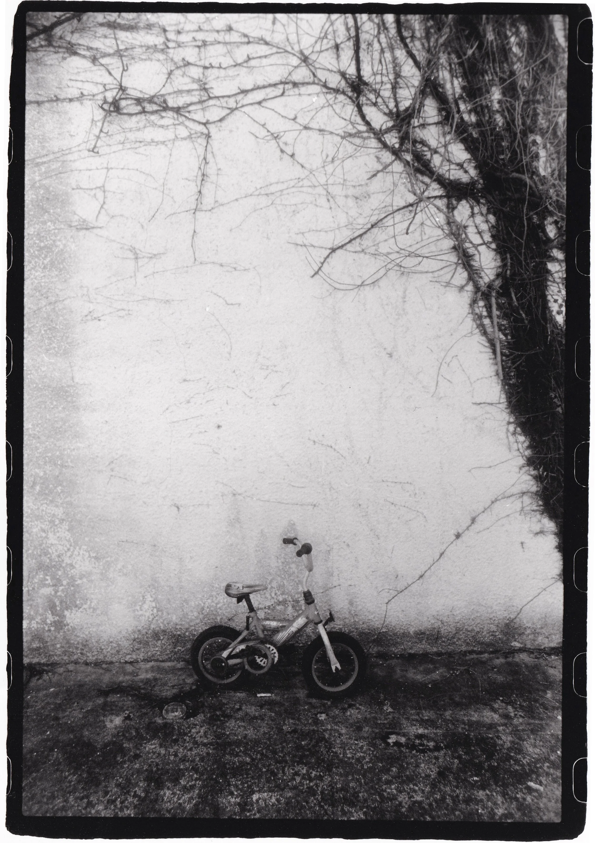 BIKE.jpg