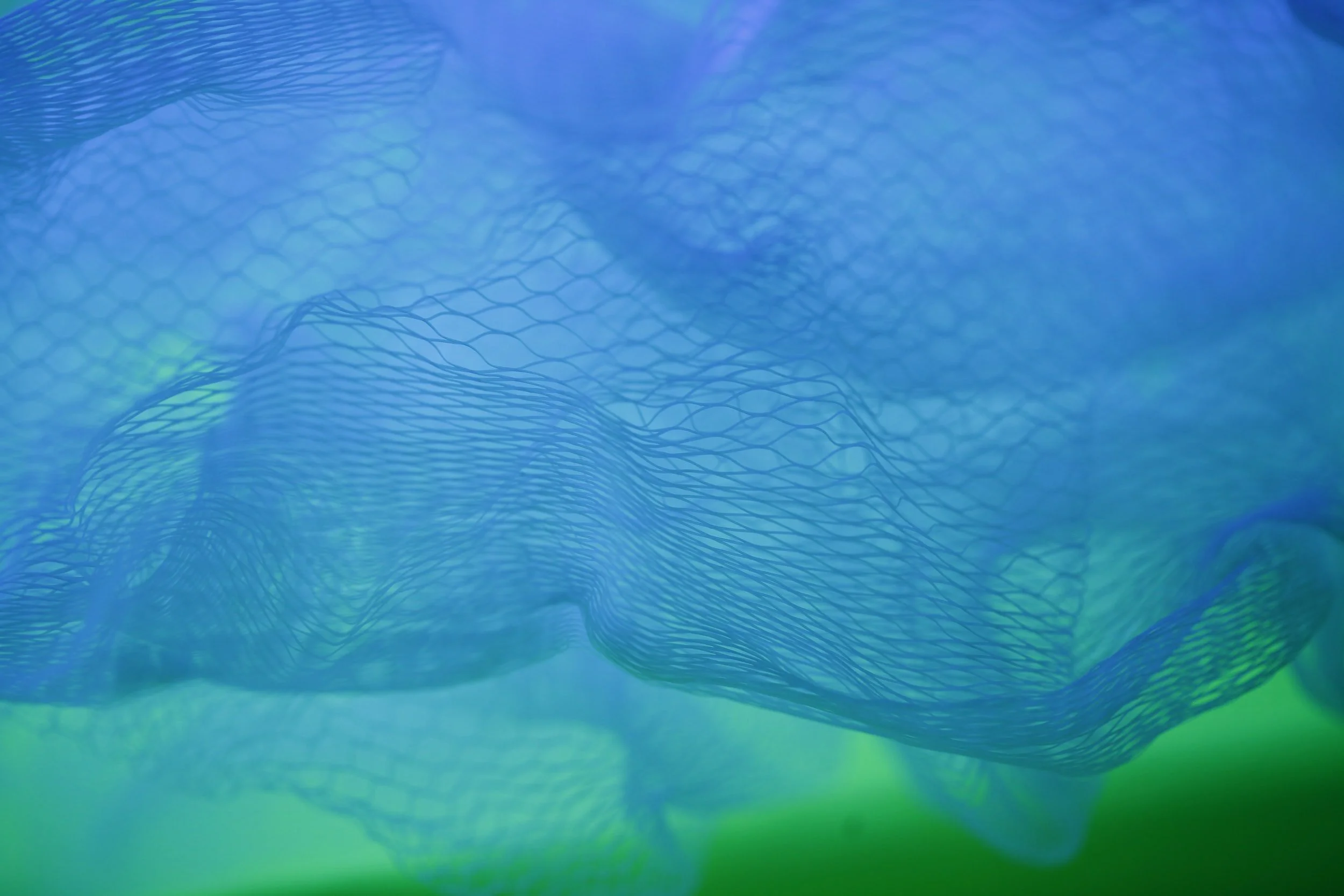 unsplash-image-sQVXS8HBPPc.jpg