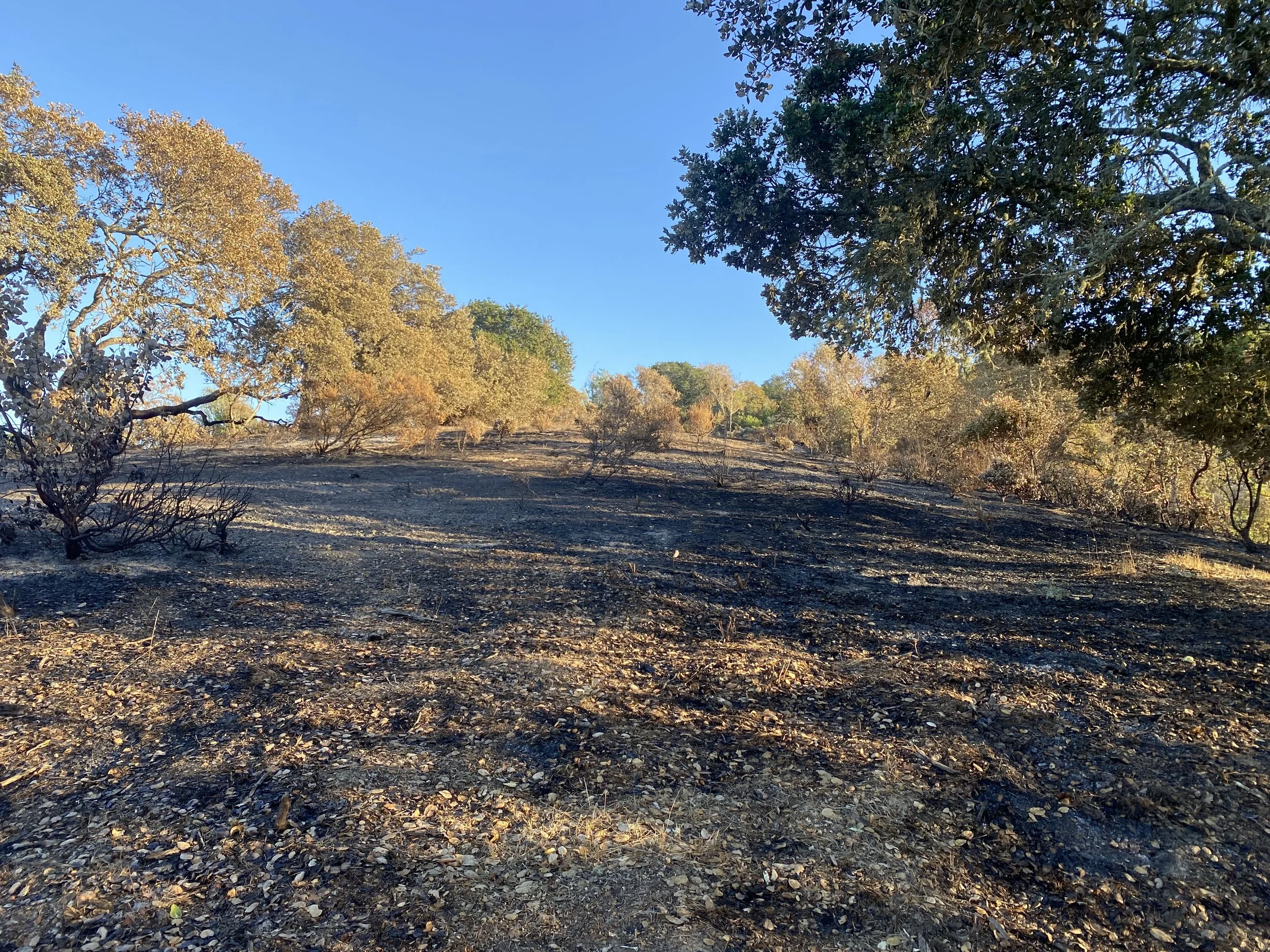 Marin County Prescribed Burning