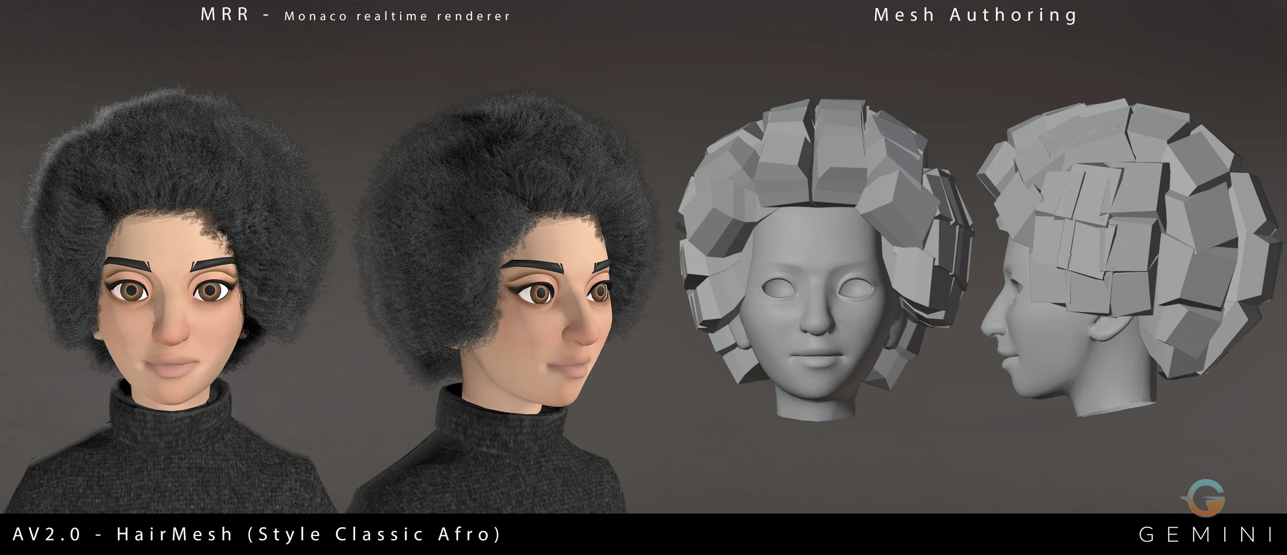 AV2_HairMesh_styleClassicAfro_01.jpg