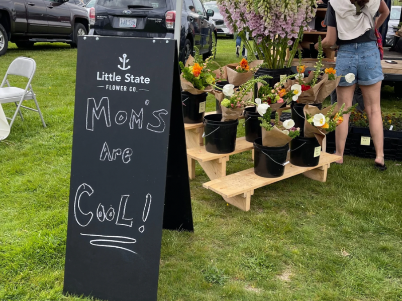 Spring Artisan Fair and Plant Sale