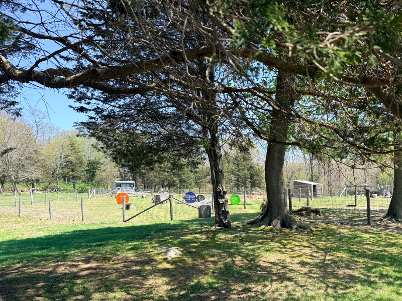 Bristol Land Conservation Trust's Native Tree Walk 