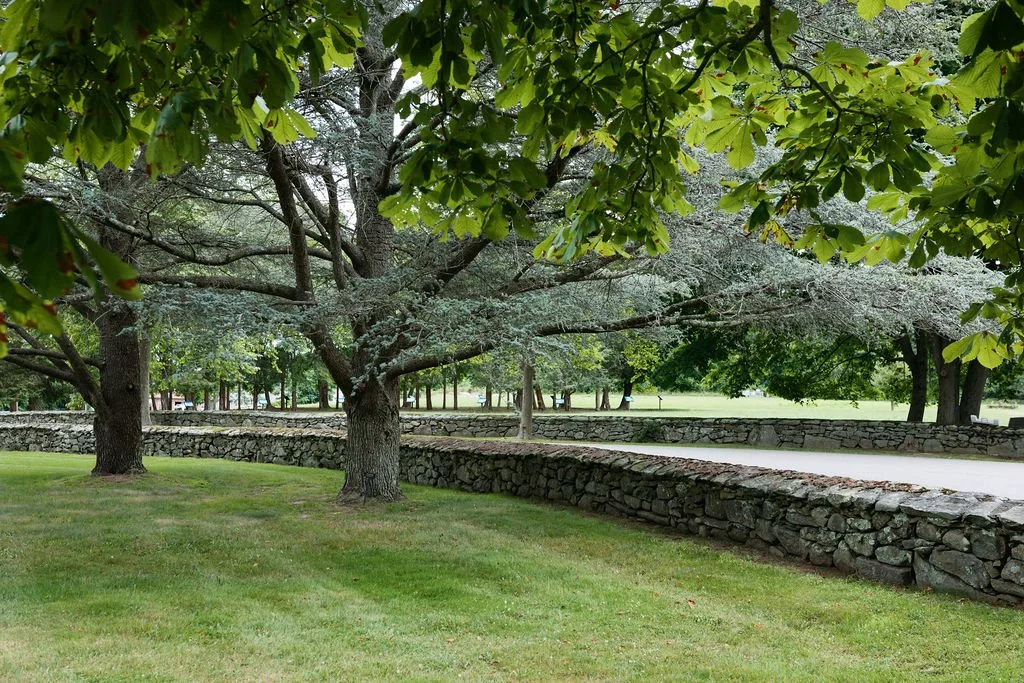 A group of people dressed in formal attire gathered outdoors for a celebration or event, with trees and a wooden structure in the background.