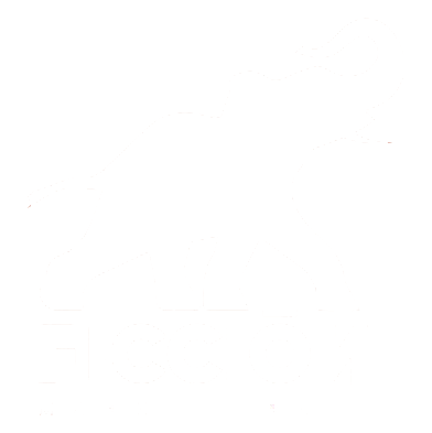 Ficcion Producciones.png