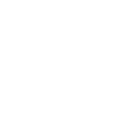 FlipFlopsFilm.png