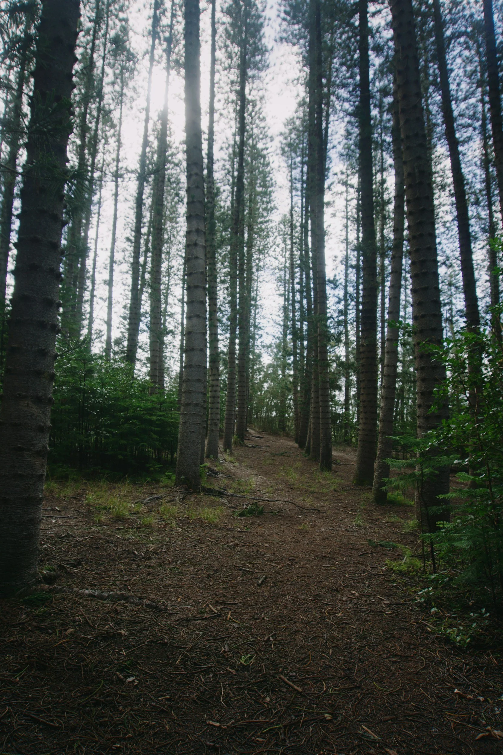 unsplash-image-1ASbHStMKY0.jpg