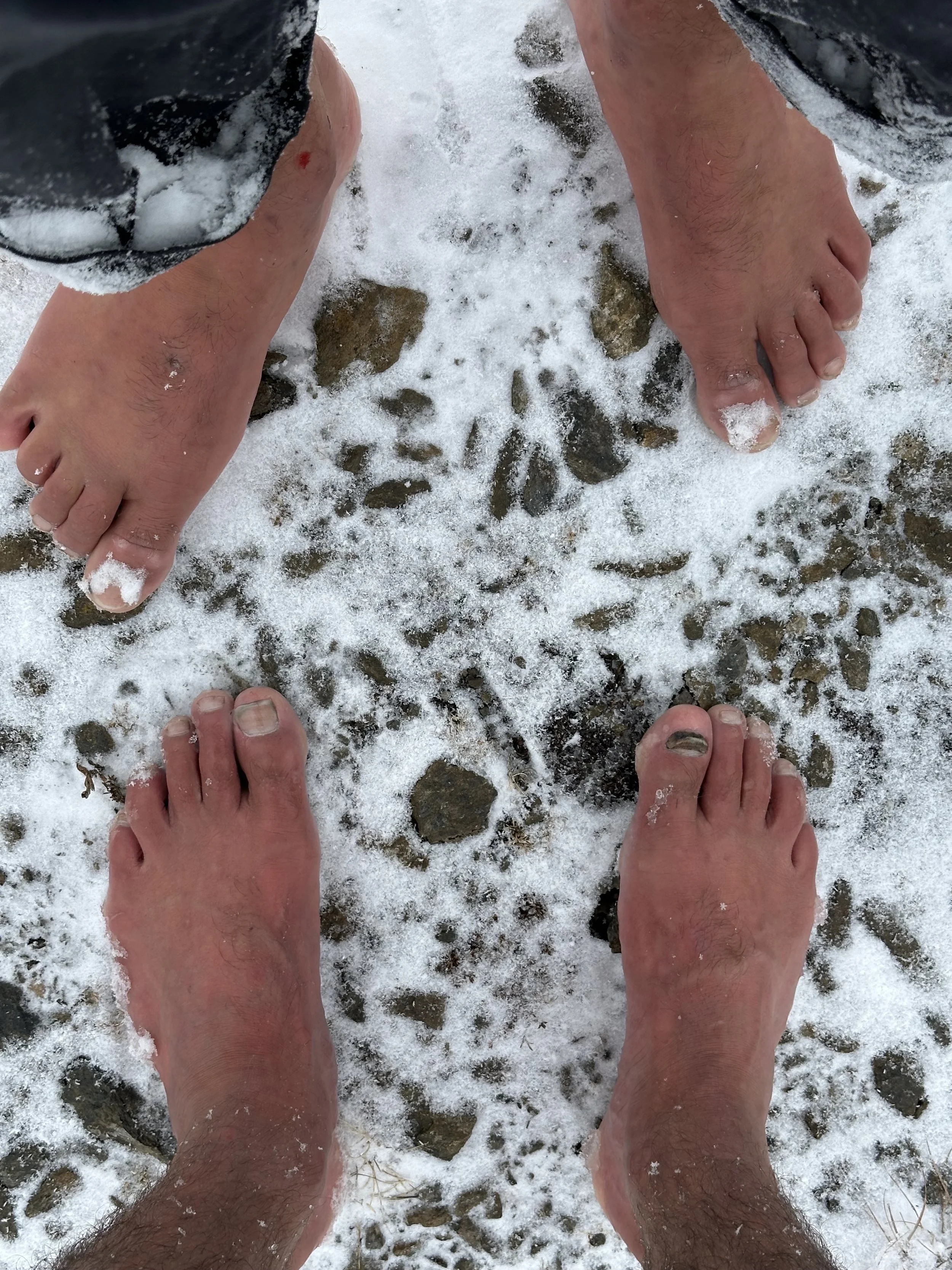 feet.jpg
