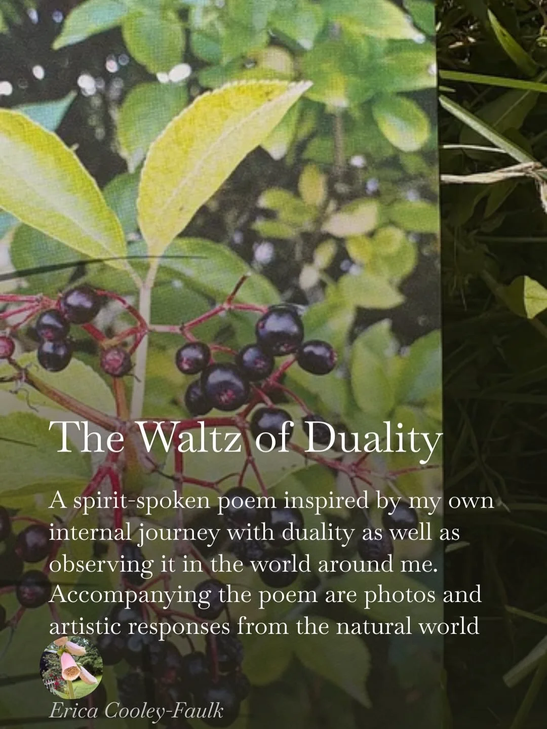 The Waltz of Duality
A spirit-spoken poem inspired by my own internal journey with duality as well as observing it in the world around me. Accompanying the poem are photos and artistic responses from the natural world of how duality is waltzing with 