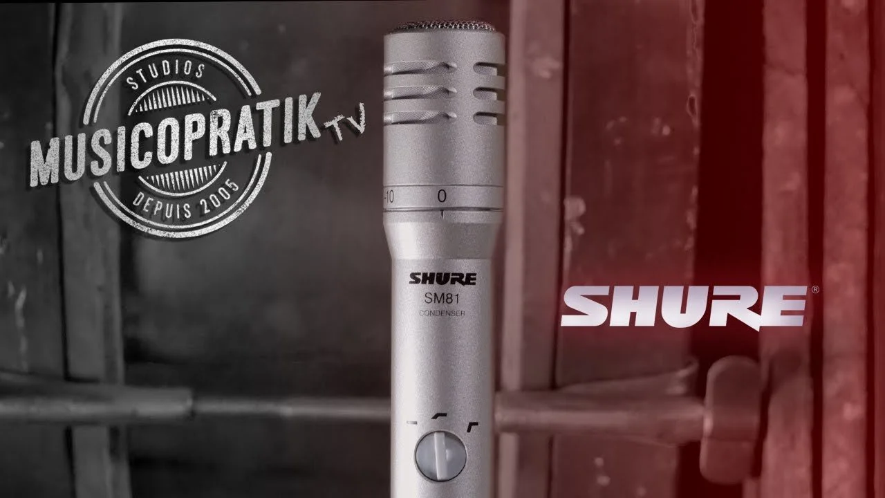 THUMRBNAIL SM 81.jpeg