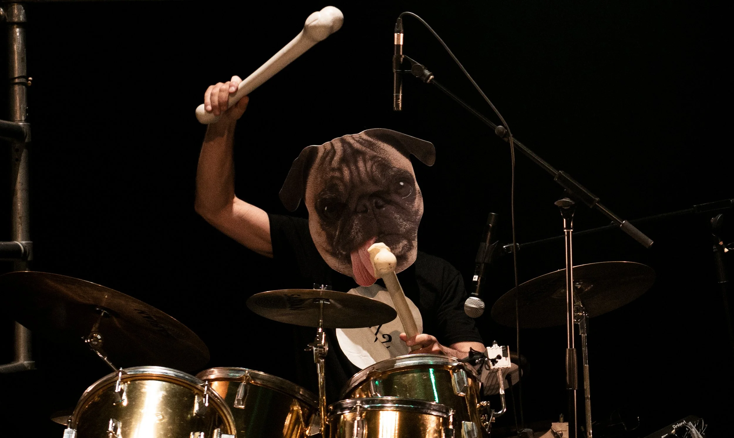 Les parfaits inconnus