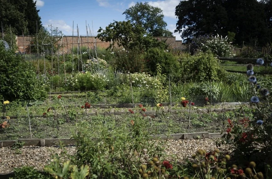 Image 31-10-2025 at 16.03 (1).jpeg