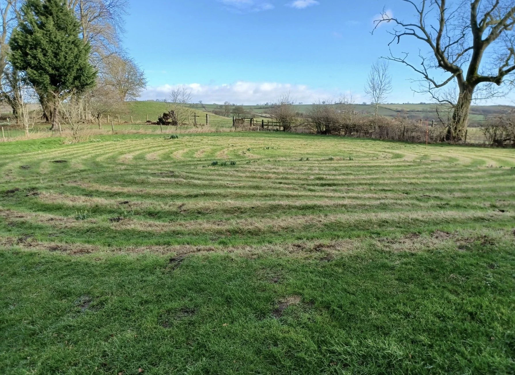 Image 31-10-2025 at 16.04.jpeg