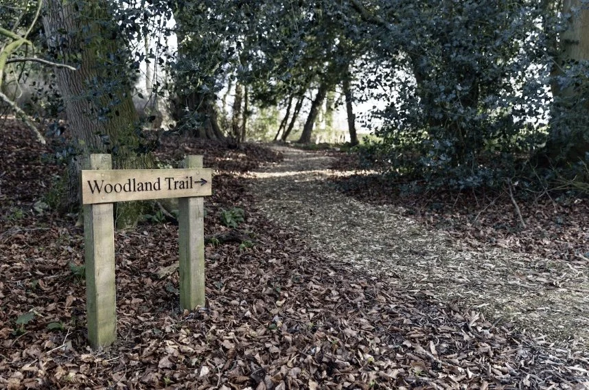 Image 31-10-2025 at 16.03.jpeg