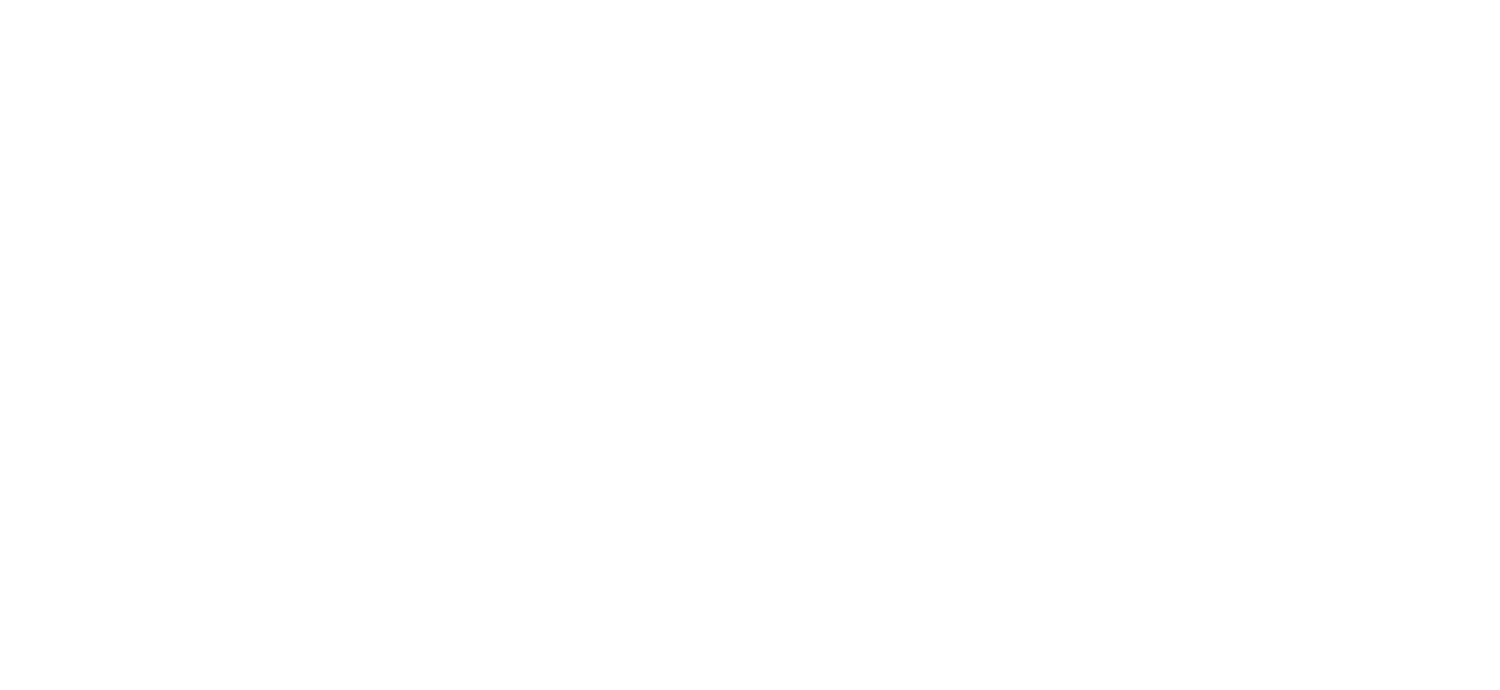 vfw-logo.png