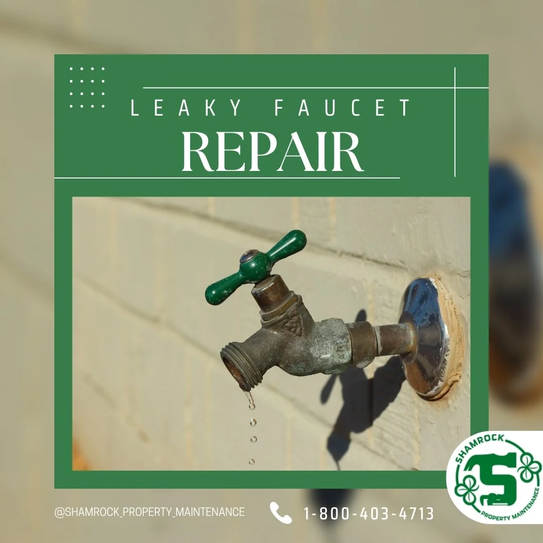 Shamrock Property Maintenance