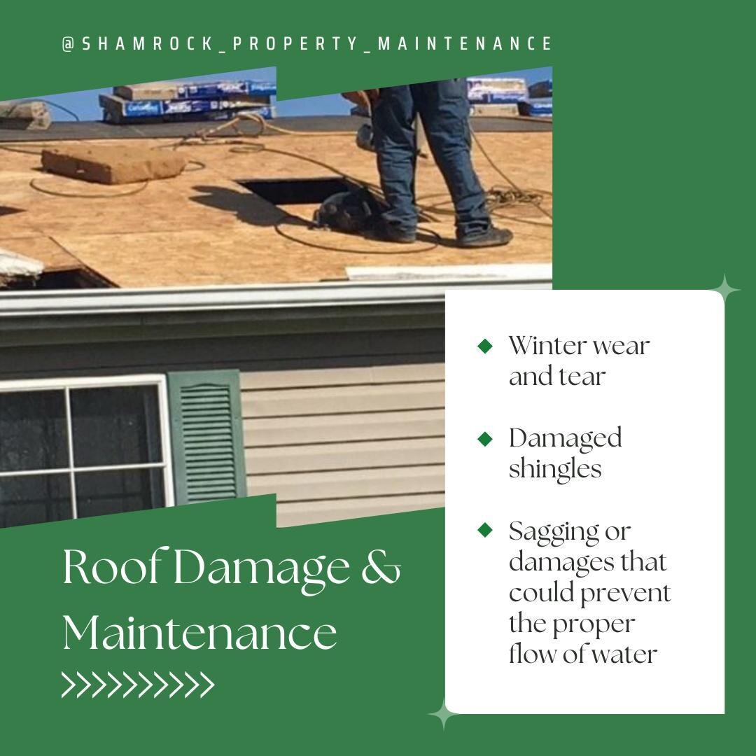 Don't Let Winter Ruin Your Roof: Get Expert Inspections Now
Say goodbye to headaches caused by damaged winter wear and tear, damaged shingles, or sagging that impedes water flow.
If you're not inspecting your roof regularly, you're risking costly rep