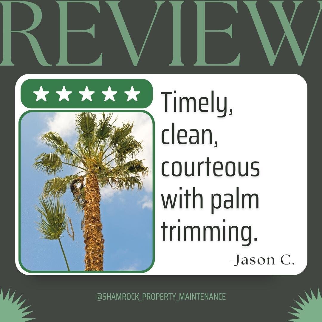 🌴 Thank you, Jason, for the amazing feedback! 🤩
Our team is thrilled to have provided you with timely, clean, and courteous palm tree trimming services. We take pride in our work and it shows in every job we do!
If you need palm tree trimming or an