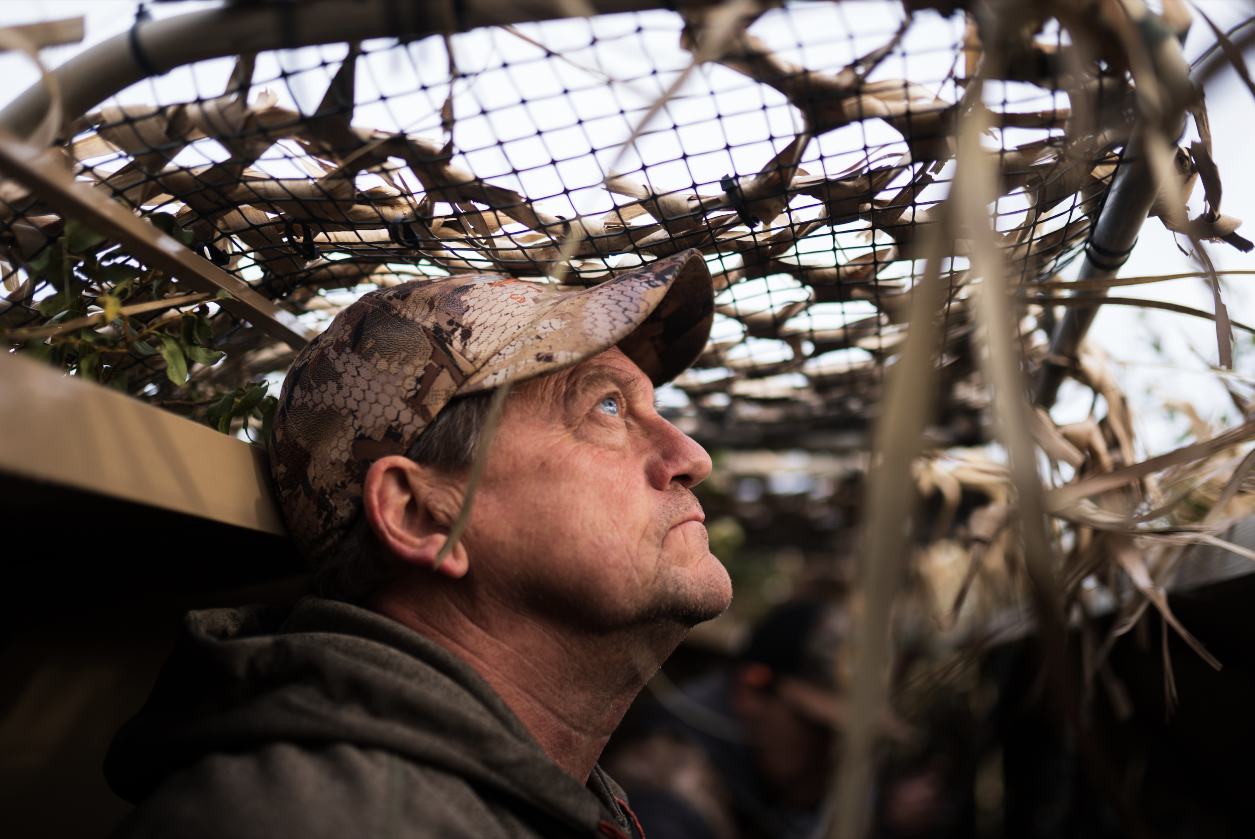 Screen Shot 2022-02-14 at 5.38.22 PM.png