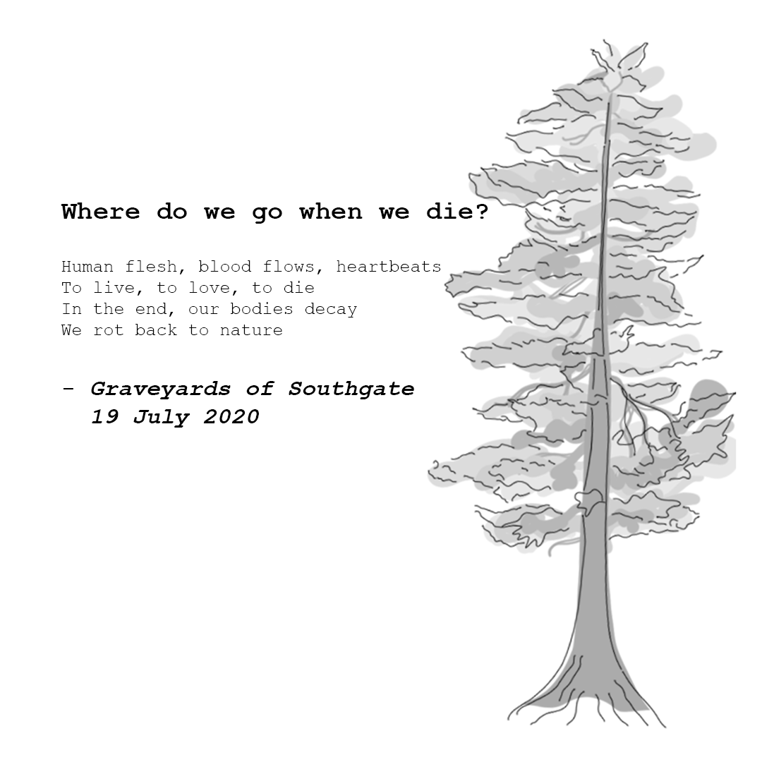where do we go when we die_.png