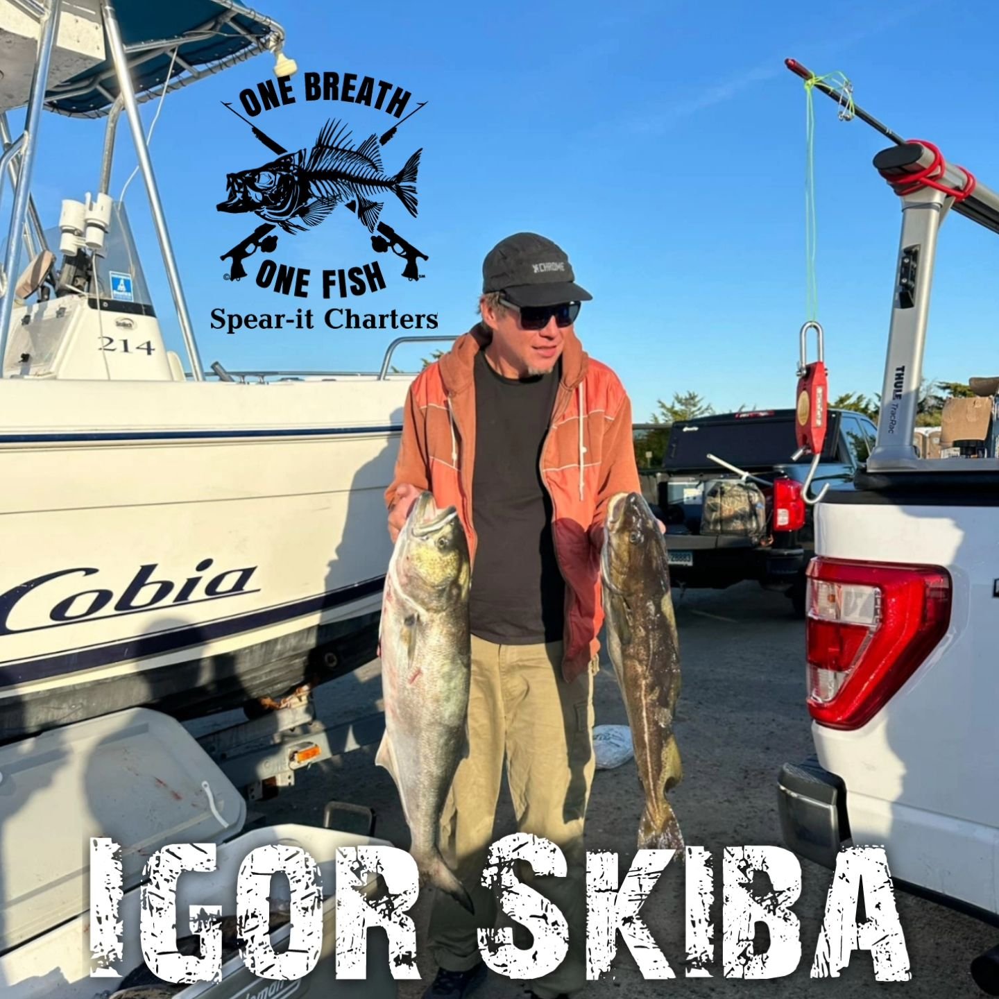 @garrik_bklnspearhead Igor Skiba with a Bluefish on the polespear coming in just .6 off the World Record  at 16.2lbs  Polespear Bluefish is sponsored by @spearitcharters
Catch a ride with Dave out to block to dive or fish rod or reel for some Tuna!