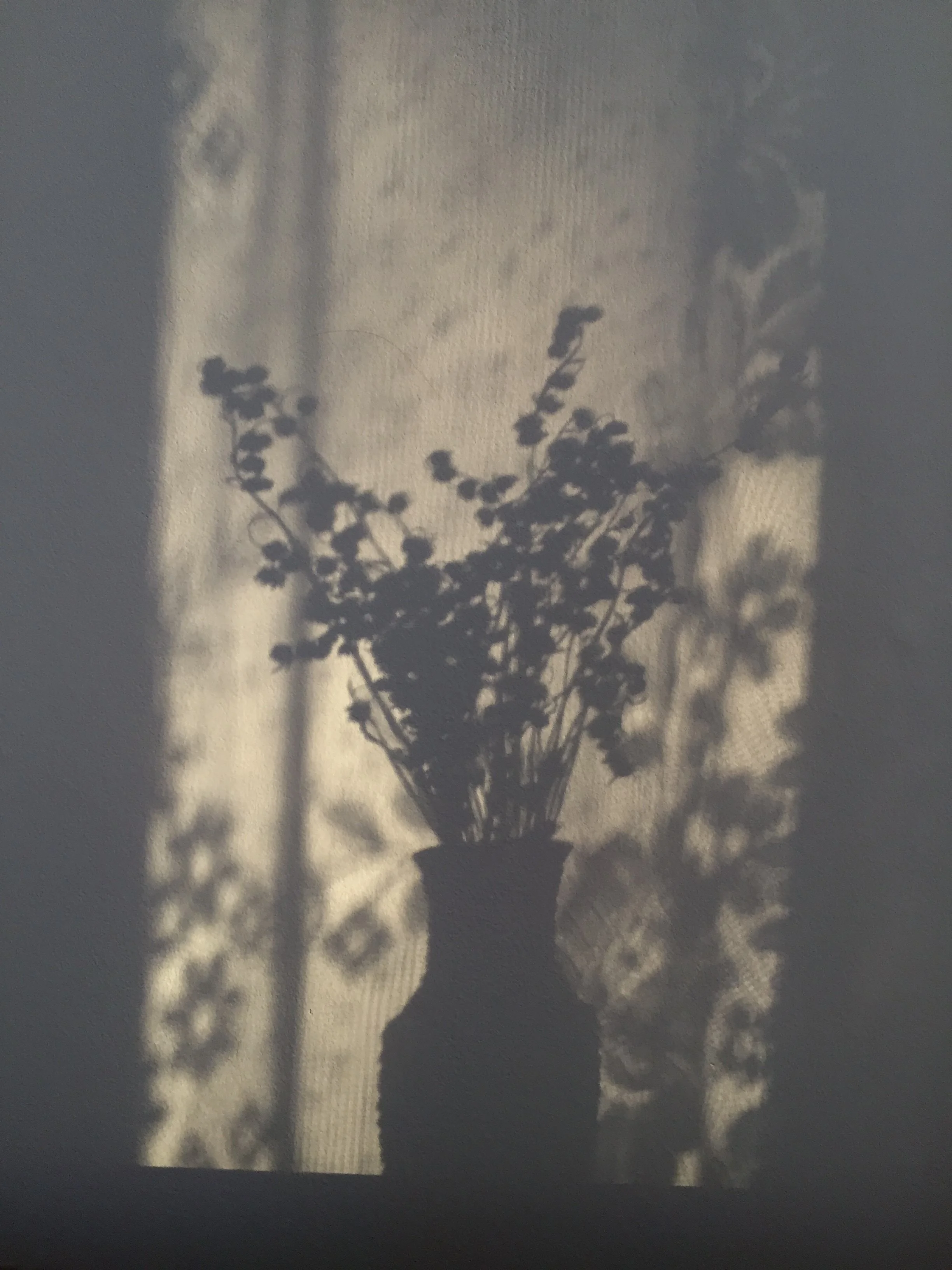 Autumn Week 6: Embracing Inner Darkness and the Power of Shadow Work