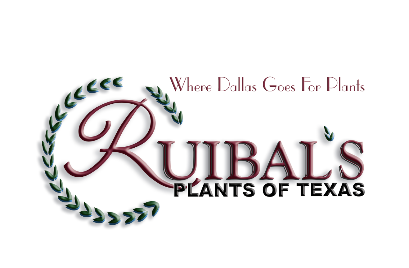 Screen Shot 2024-02-06 at 7.04.28 PM.png