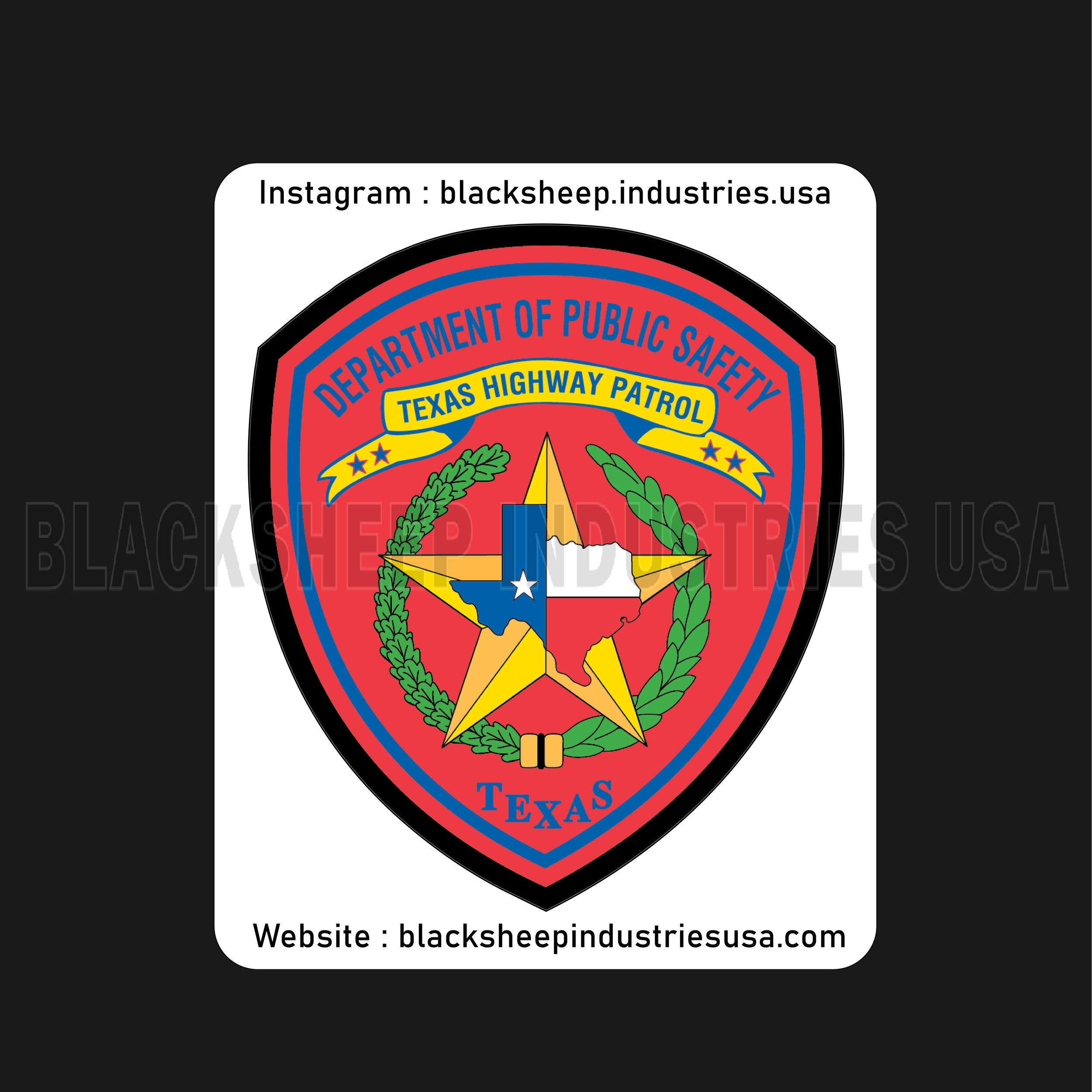 TX DPS Shoulder Patch #1.png