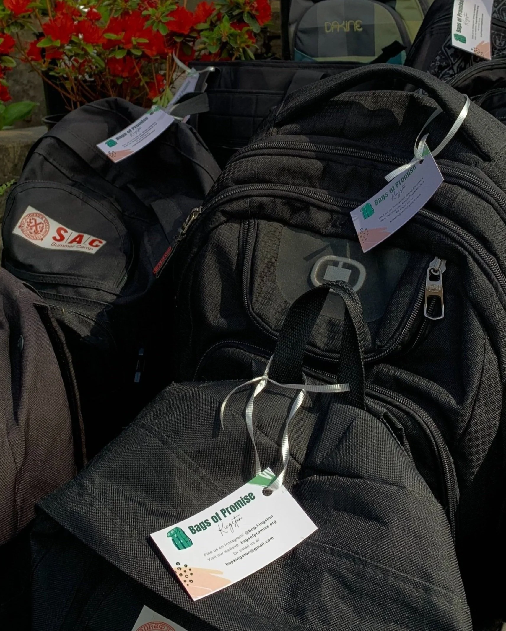 Bags of promise youth charity organizations at risk youth programs homeless shelters student charity student led charity bop kingston bop guelph youth homelessness kingston youth homelessness toronto donations youth homelessness canada youth charity