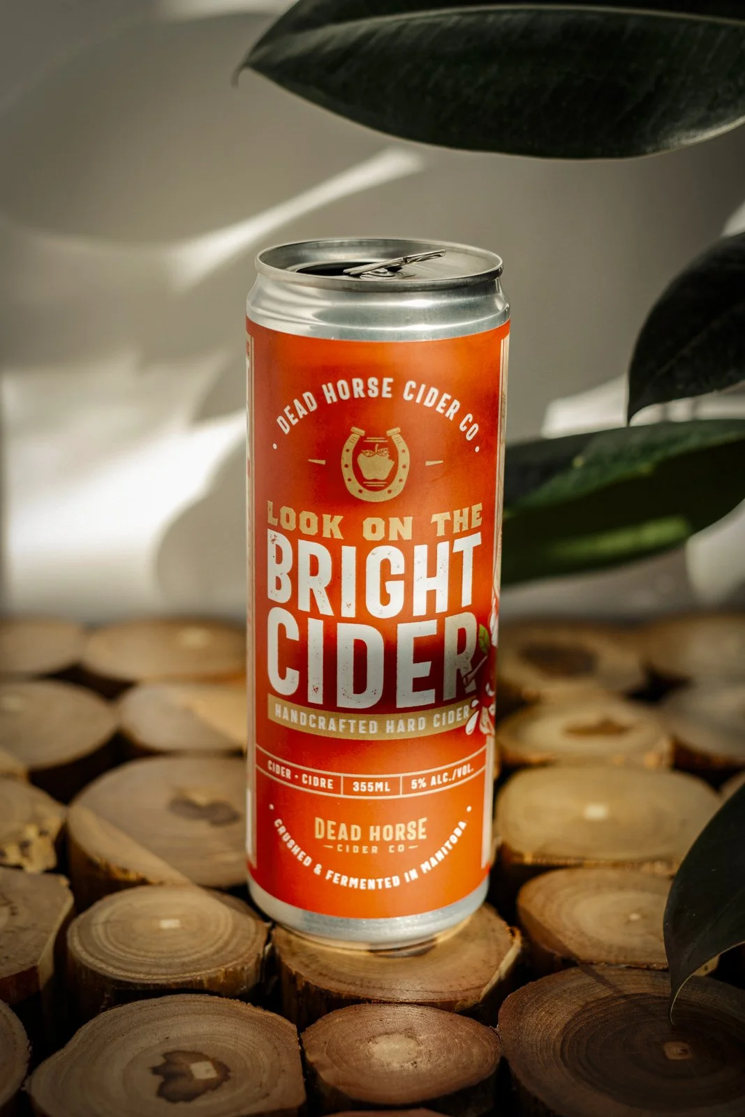 Bright Cider - 5% ABV