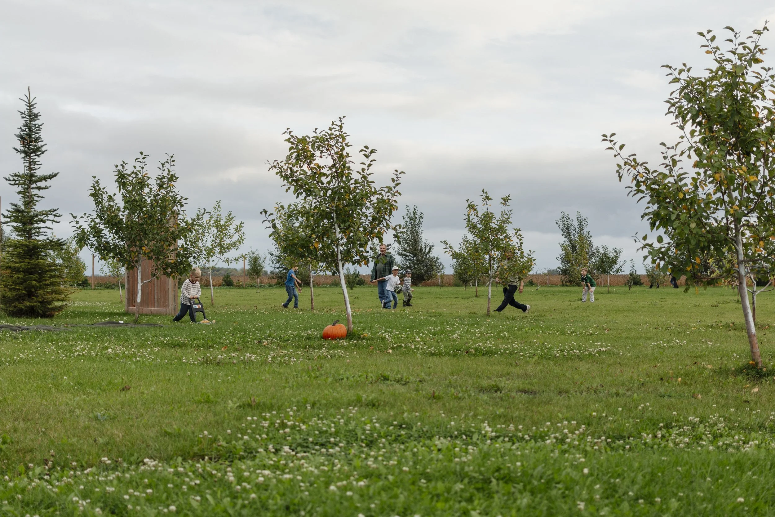 Children playing in a grassy park with trees, a pumpkin, and a wooden shed, under a cloudy sky.