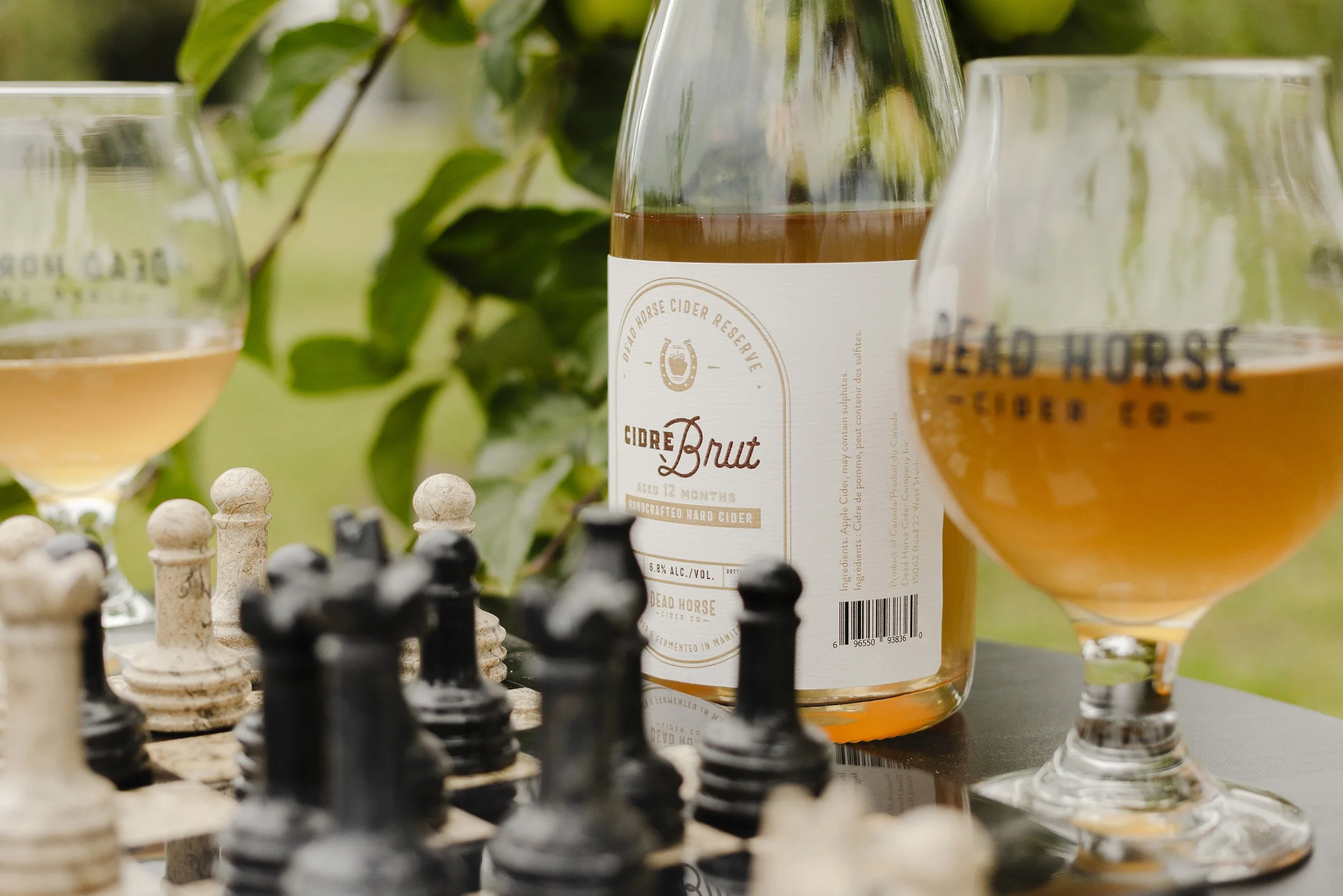 Two glasses of cider and a bottle of Dead Horse Cider Reserve cider on a table with a chessboard in the foreground, outdoors with green foliage in the background.