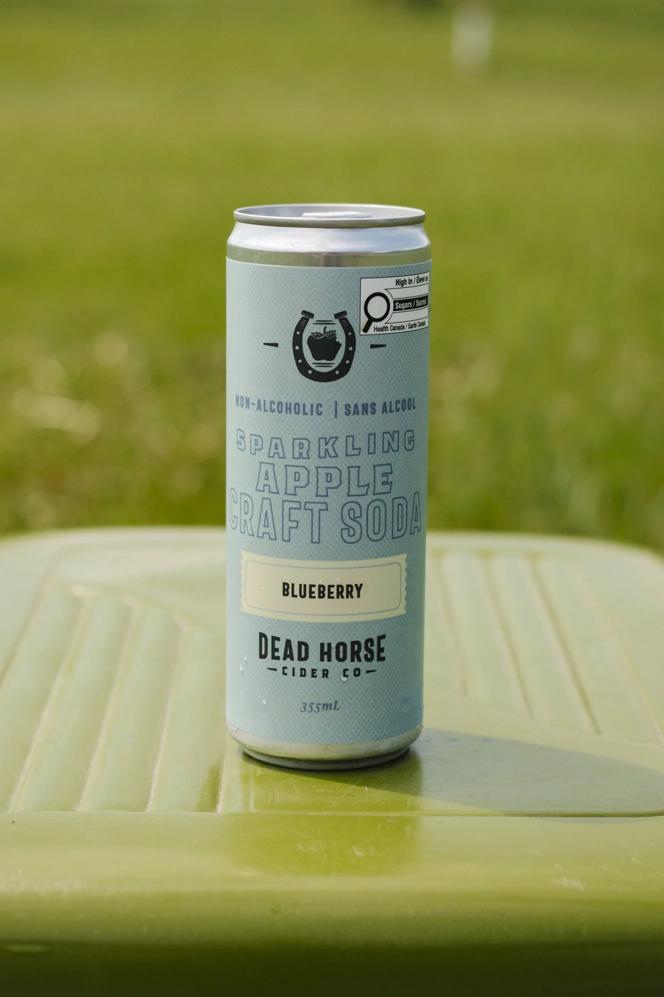 Blueberry Craft Soda | 0%