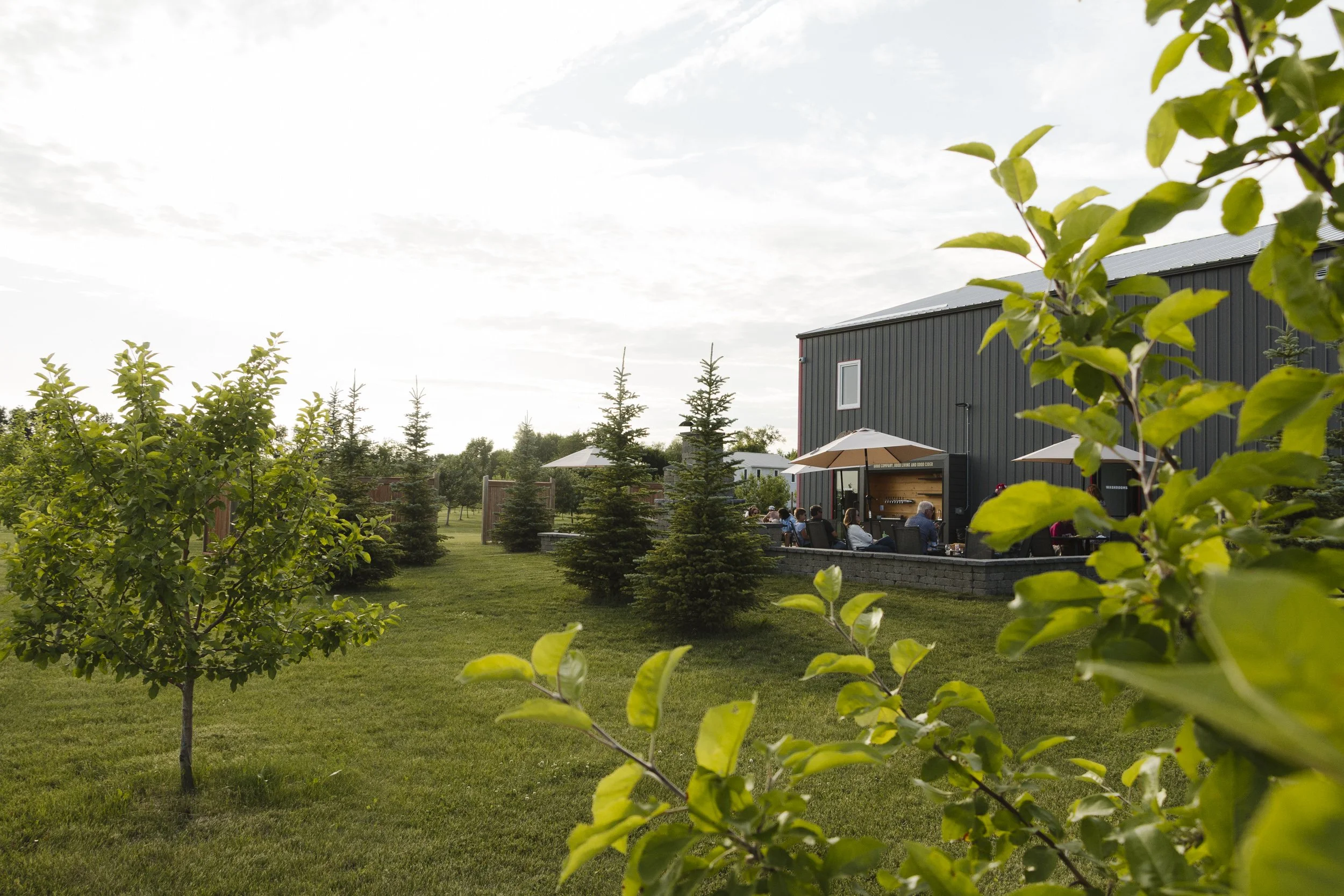 People dining outdoors on a patio with umbrellas, next to a dark gray building, surrounded by green grass and small trees, under a cloudy sky.