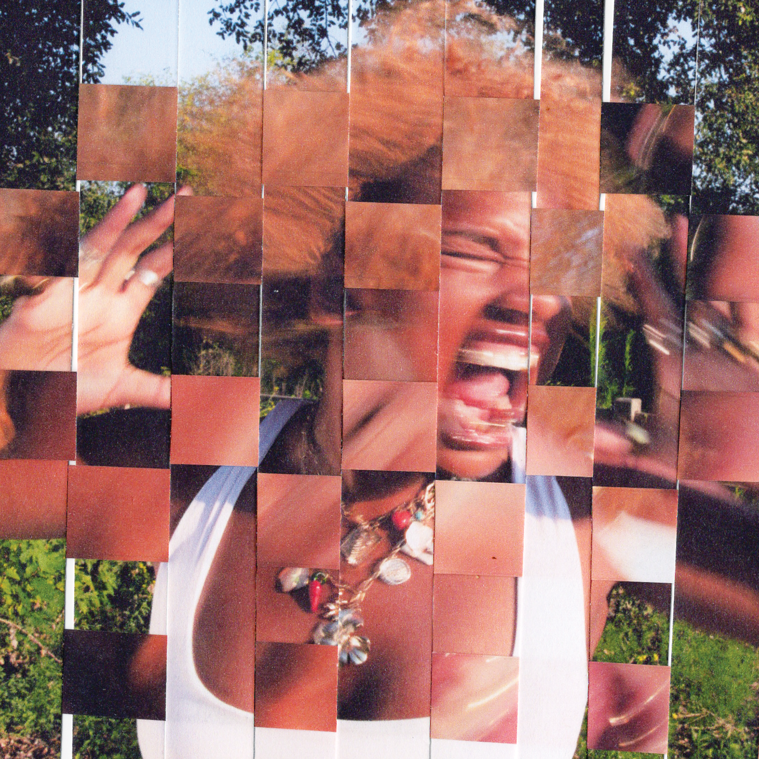 IFDED-Deluxe-Cover_0003_Woven-2.png