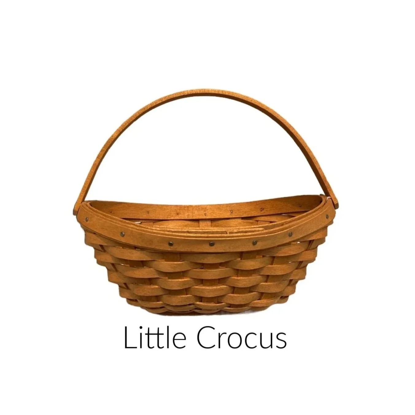 LittleCrocus.jpg