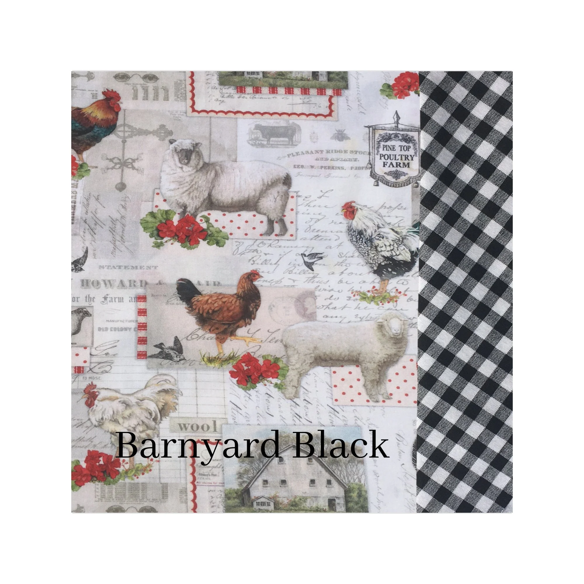 BarnyardBlkName.jpg