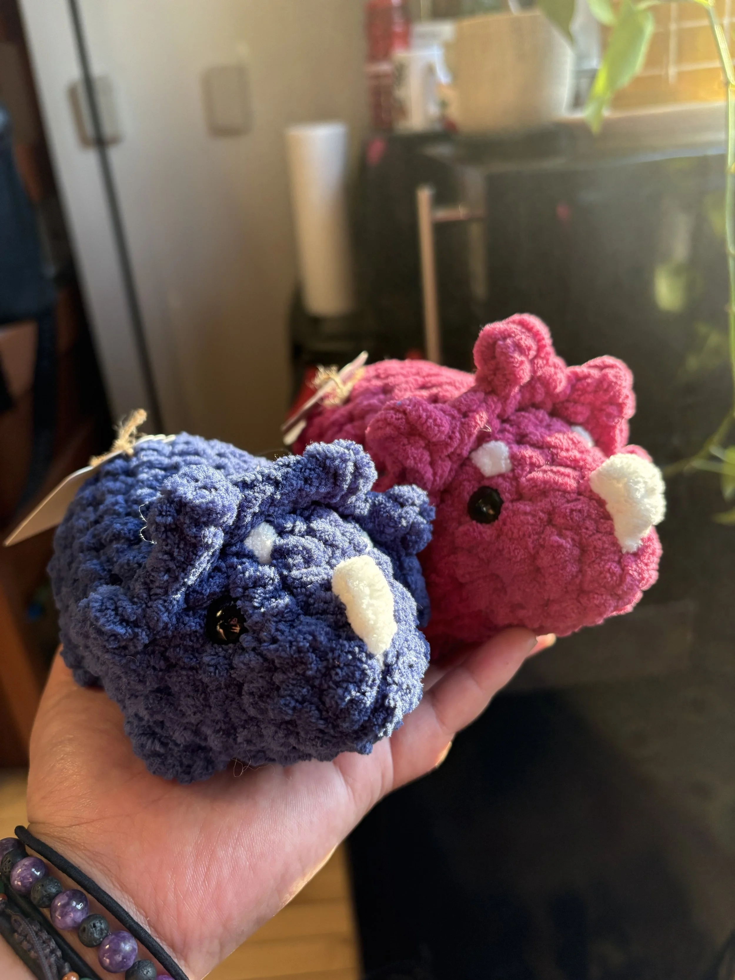 Tricertops Buddy 1.jpeg