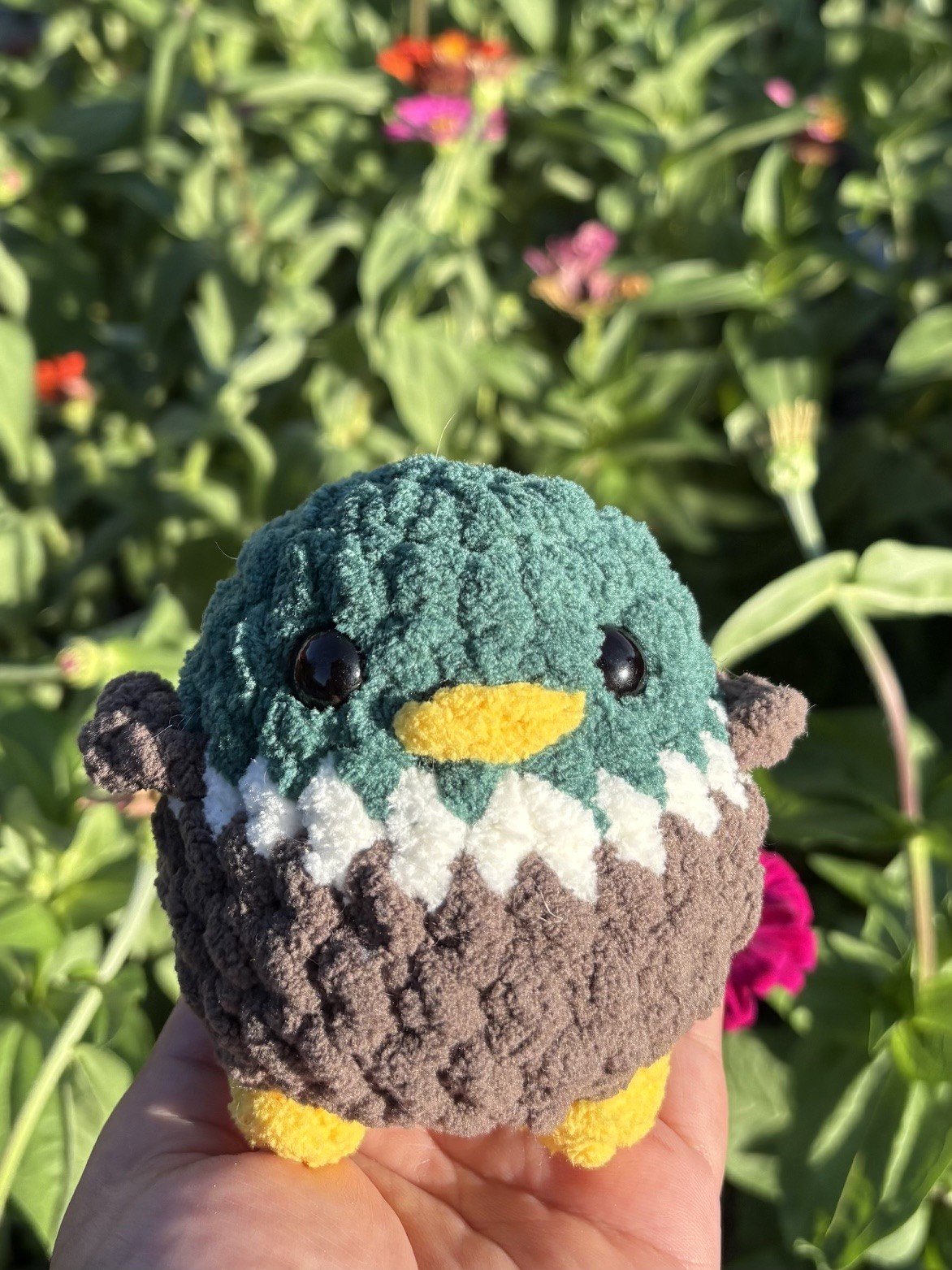 Duck Friend 2.jpe