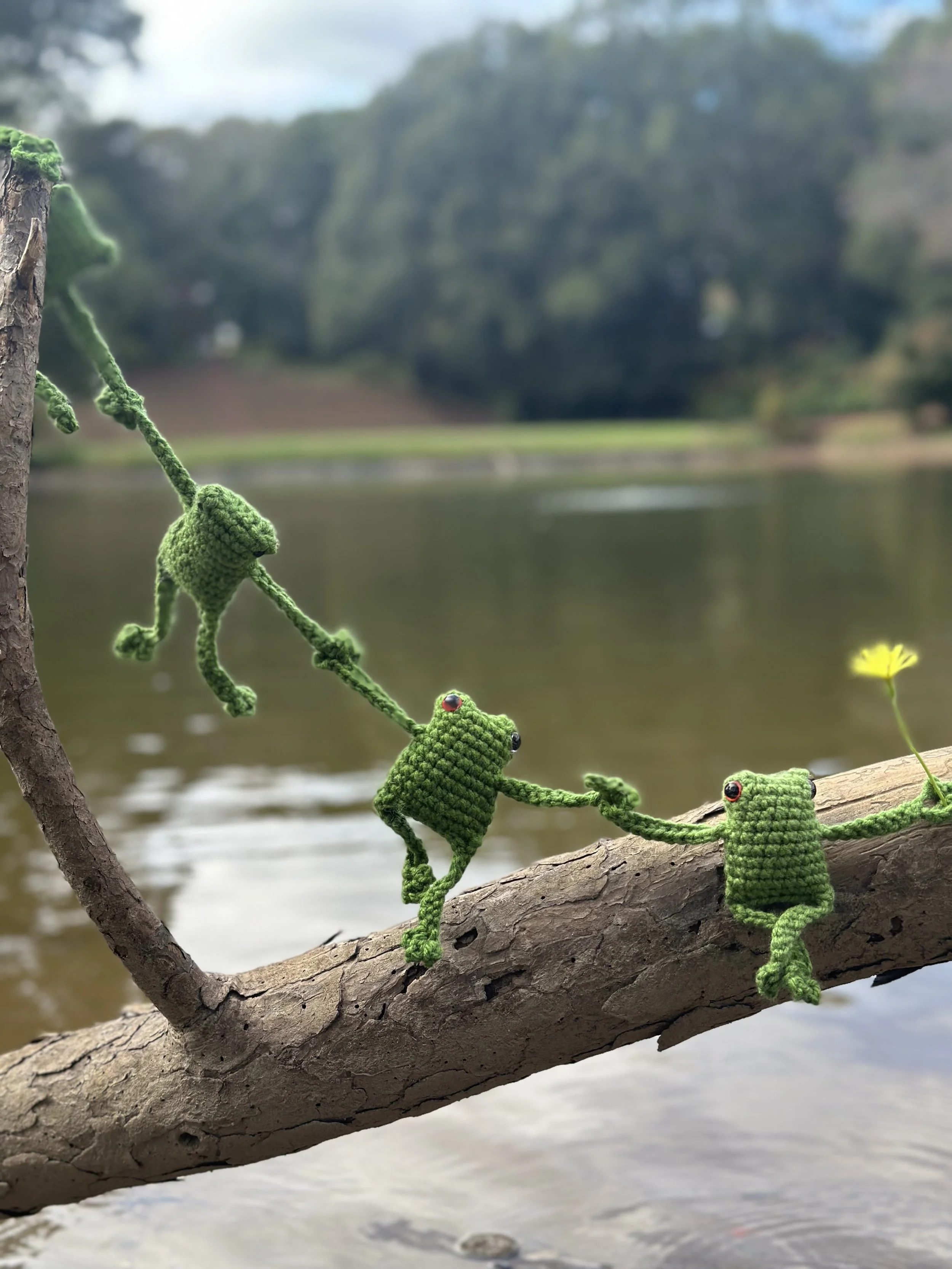 HSG Mini Frog 4.jpeg