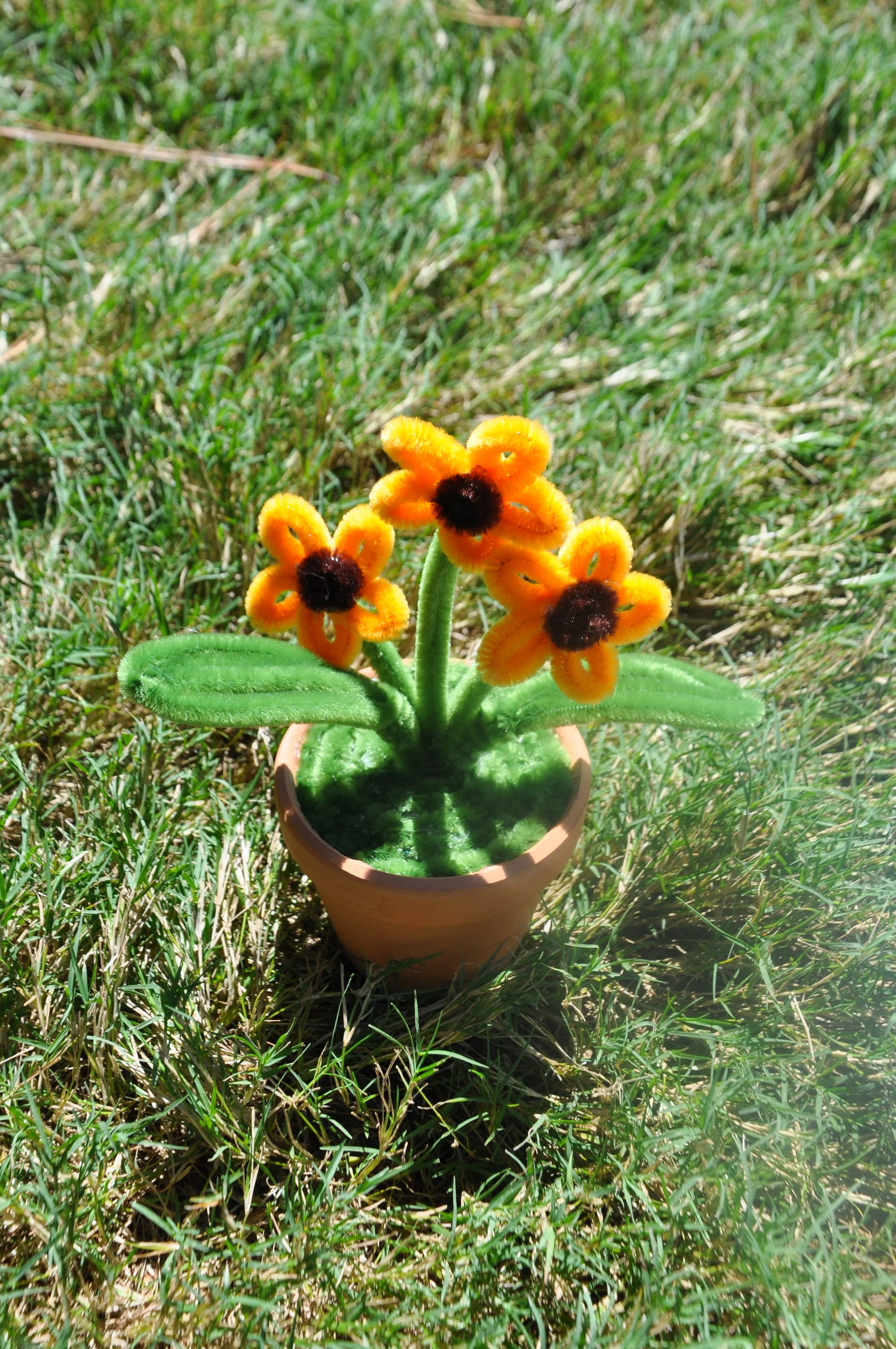 Sunflowers in a Pot (Small).jpg