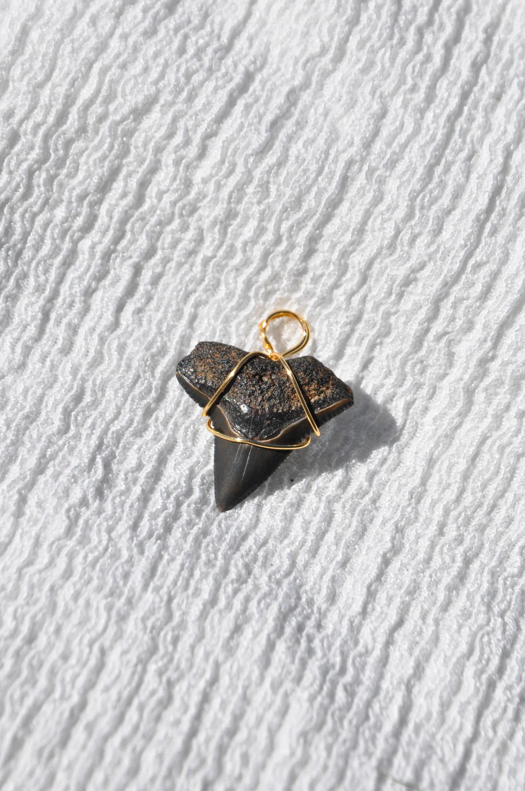 Shark Tooth Pendant.jpg