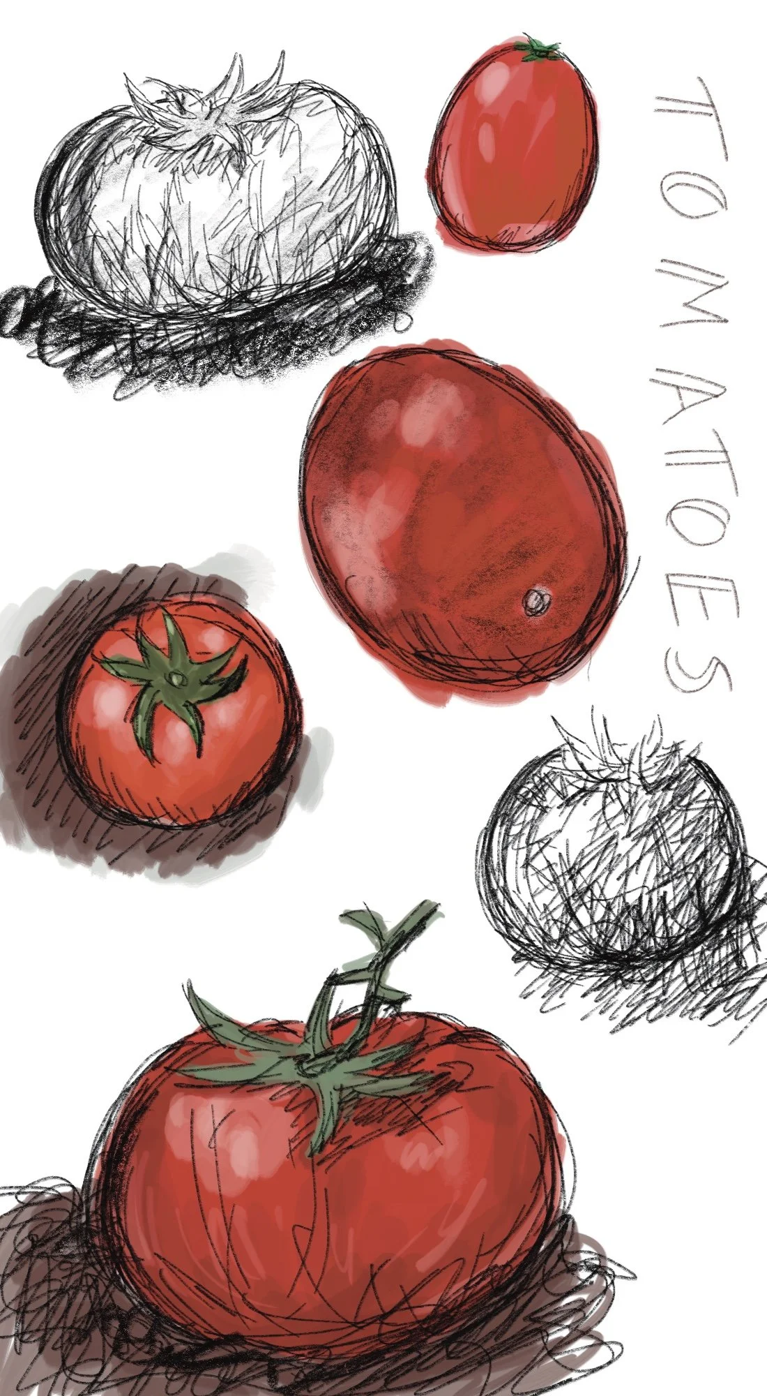 Tomato Print