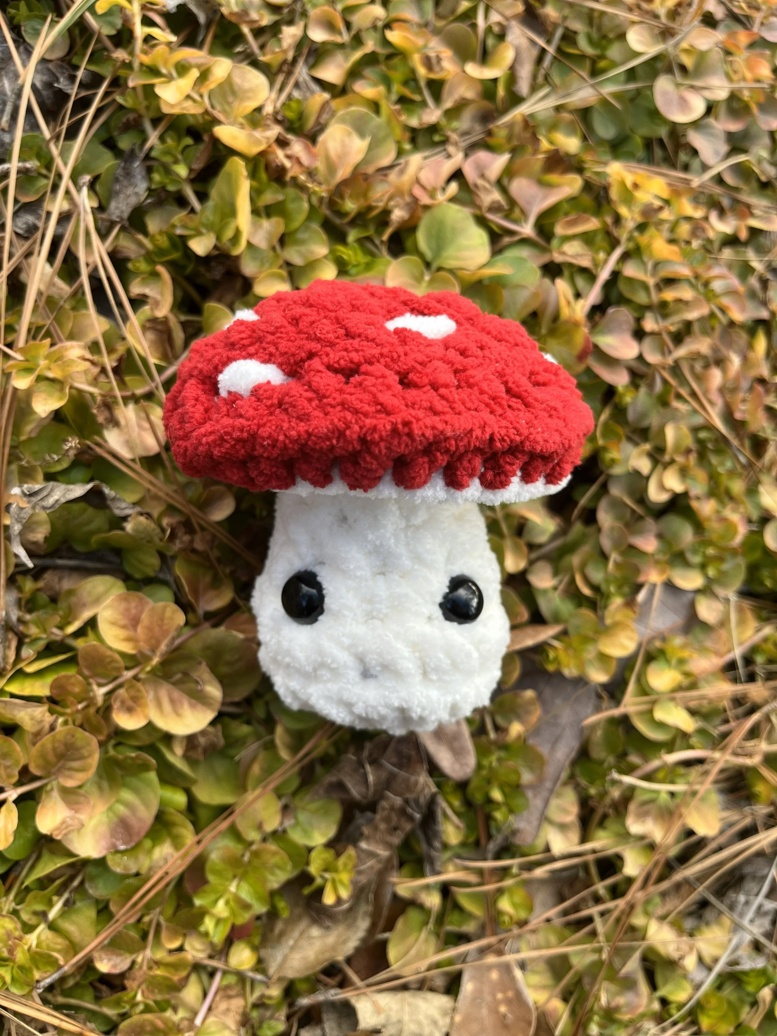 Mushroom Fun-Guys 1.jpg